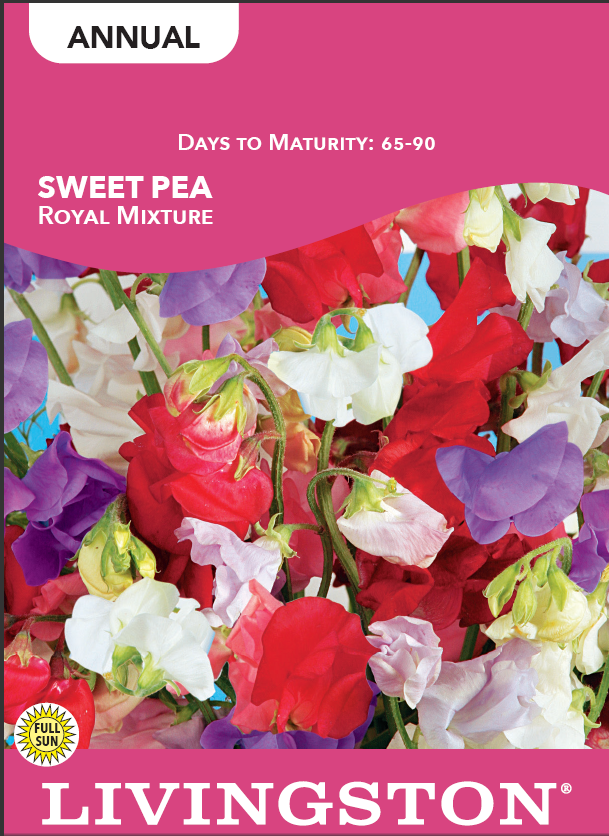 SWEET PEA - ROYAL  MIXTURE