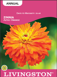 ZINNIA - AZTEC ORANGE