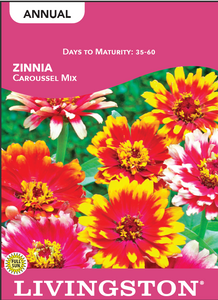 ZINNIA - CAROUSELL MIX