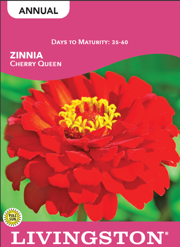 ZINNIA - CHERRY QUEEN