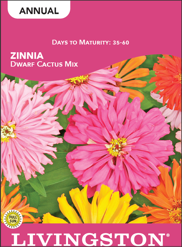 ZINNIA - DWARF CACTUS MIX