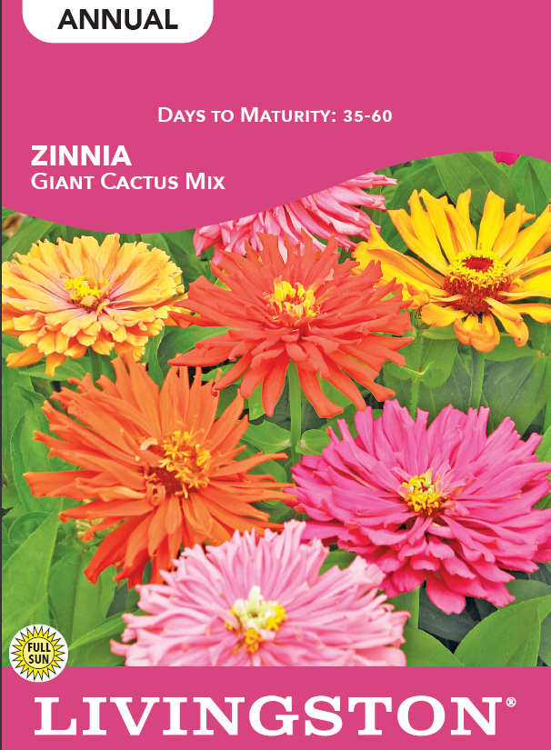 ZINNIA - GIANT CACTUS MIX