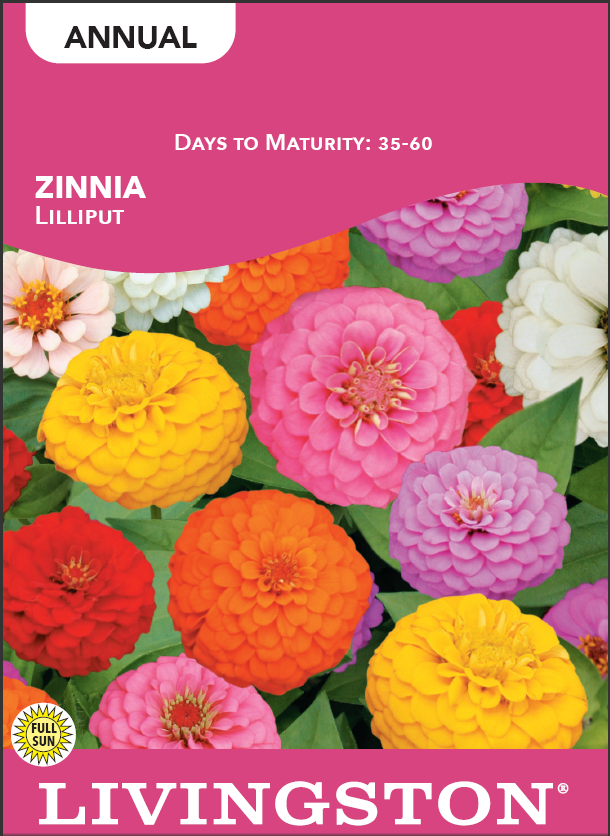 ZINNIA - LILLIPUT