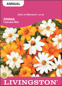 ZINNIA - LINEARIS MIX