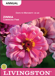 ZINNIA - LUMINOSA PINK