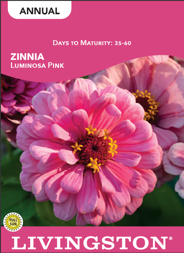 ZINNIA - LUMINOSA PINK