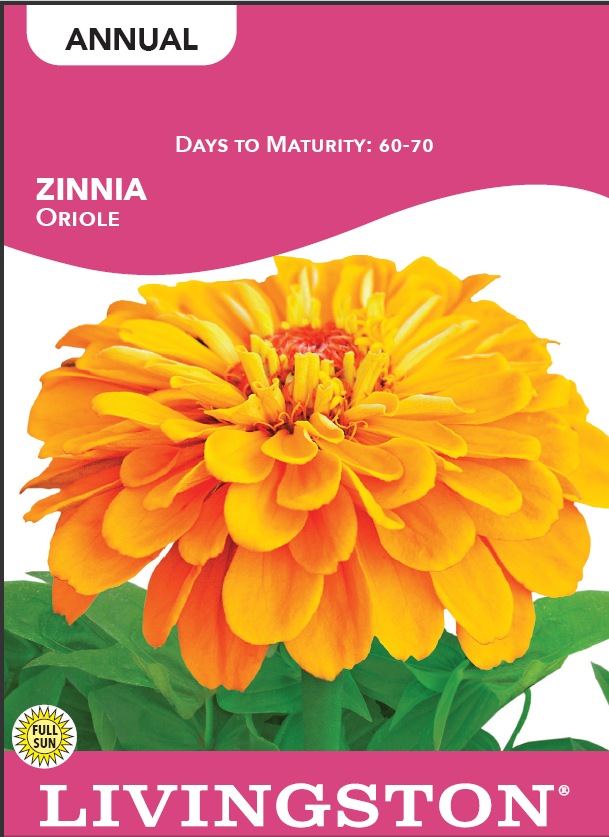 ZINNIA - ORIOLE