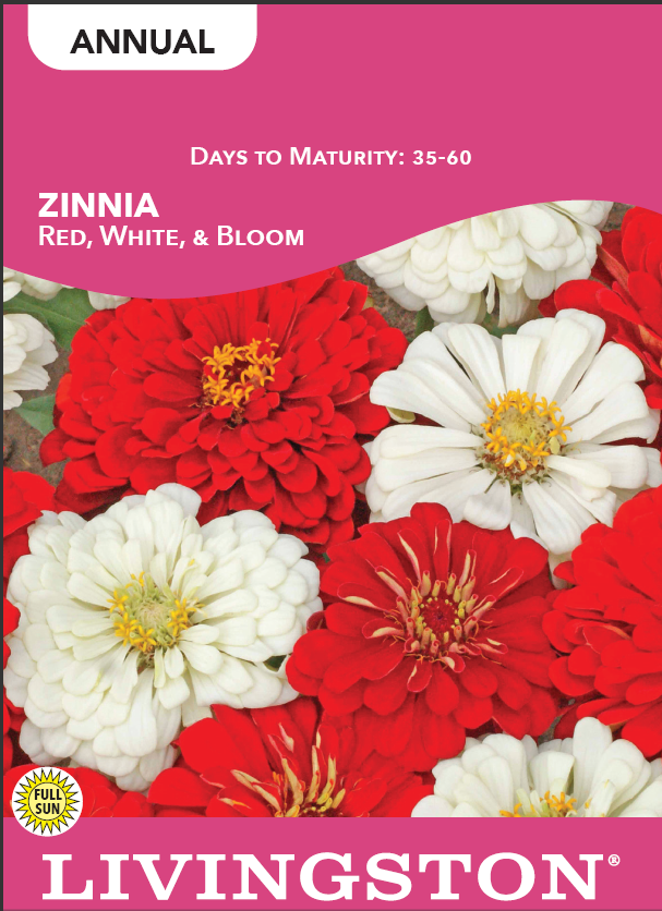 ZINNIA - RED, WHITE, & BLOOM