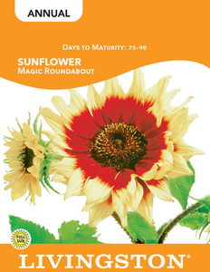 SUNFLOWER - MAGIC ROUNDABOUT