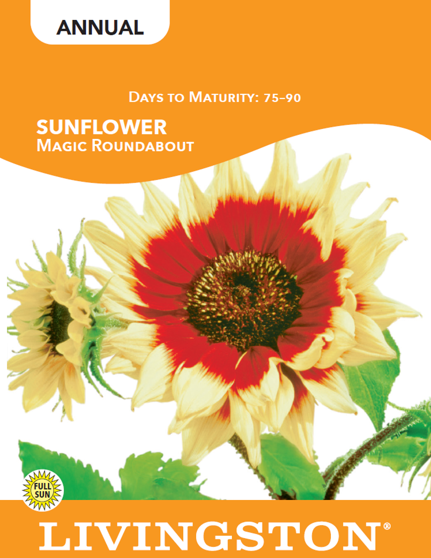 SUNFLOWER - MAGIC ROUNDABOUT