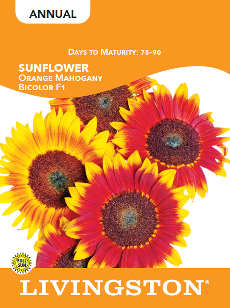 Sunflower Seeds – LivingstonSeed.com