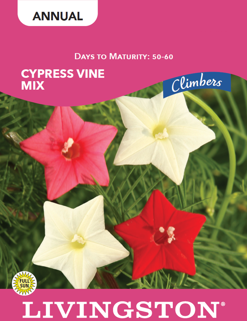 CYPRESS VINE MIX