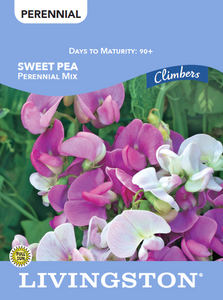 SWEET PEA - PERENNIAL