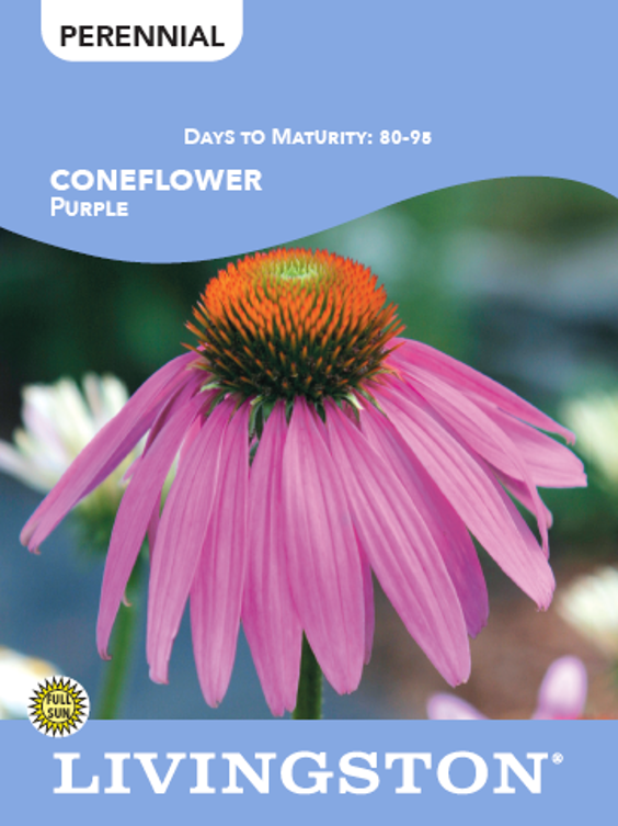Perennial Flower Seeds