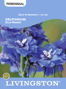 DELPHINIUM - BLUE MIRROR