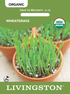 ORGANIC - WHEATGRASS