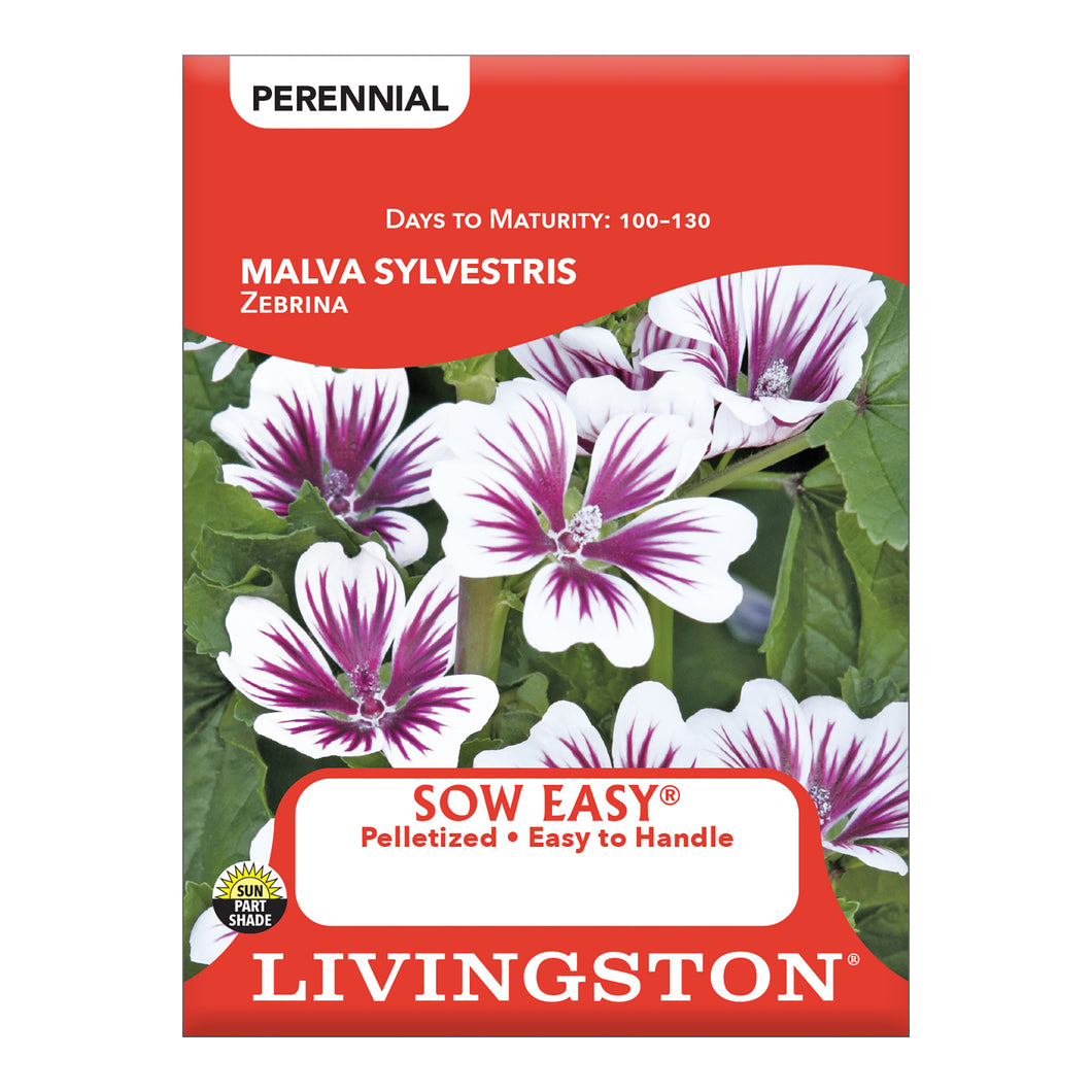 SOW EASY - MALVA SYLVESTRIS