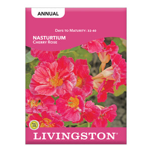 NASTURTIUM - CHERRY ROSE