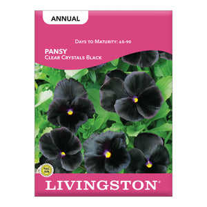 PANSY - SWISS GIANT