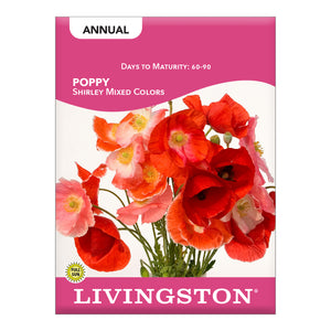 POPPY - SHIRLEY - MIX COLORS