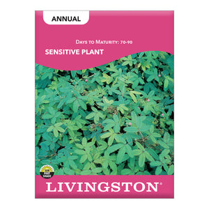 SENSITIVE PLANT