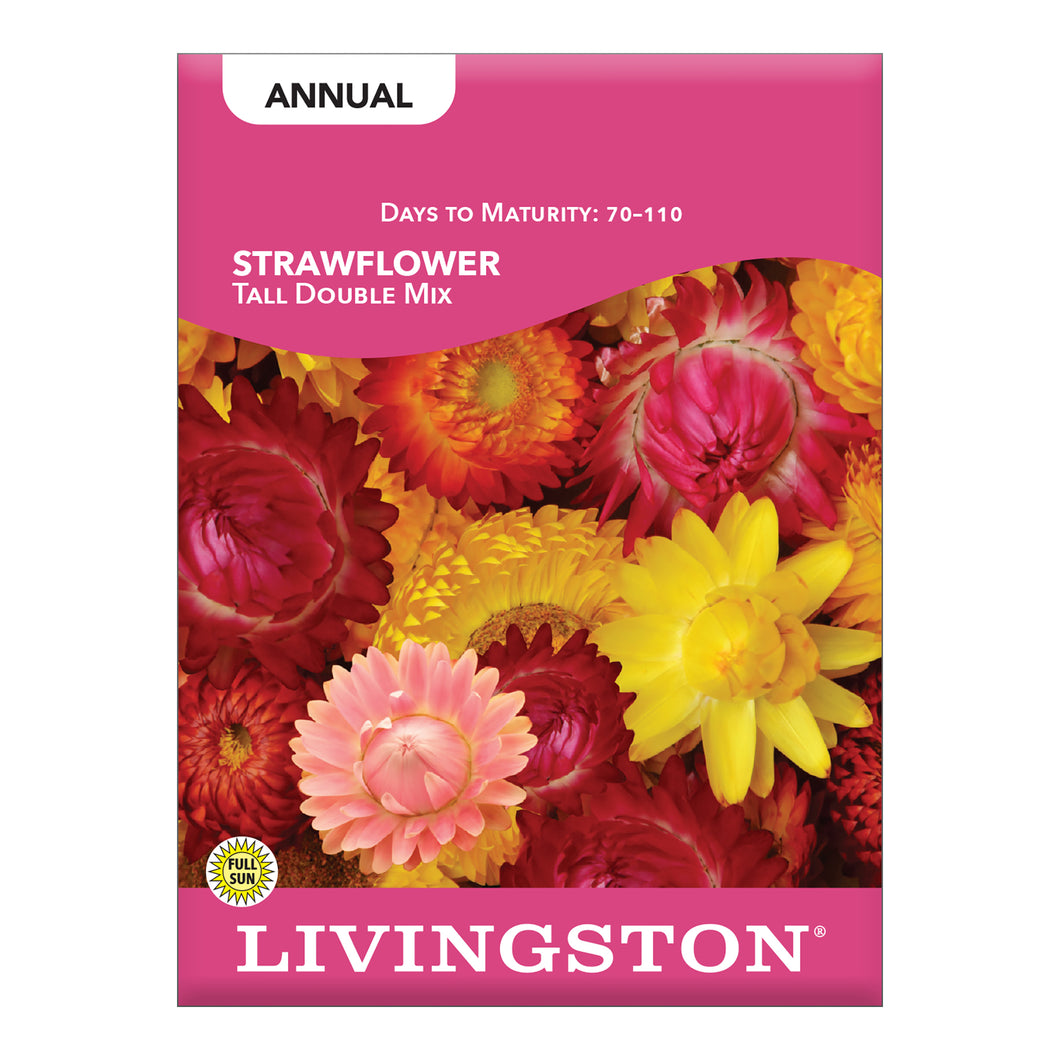 STRAWFLOWER - TALL DOUBLE MIX