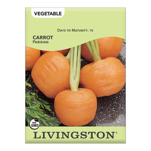 CARROT - PARISIAN