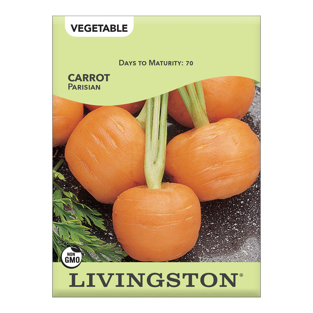 CARROT - PARISIAN