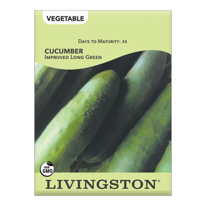 CUCUMBER - IMPROVED LONG GREEN