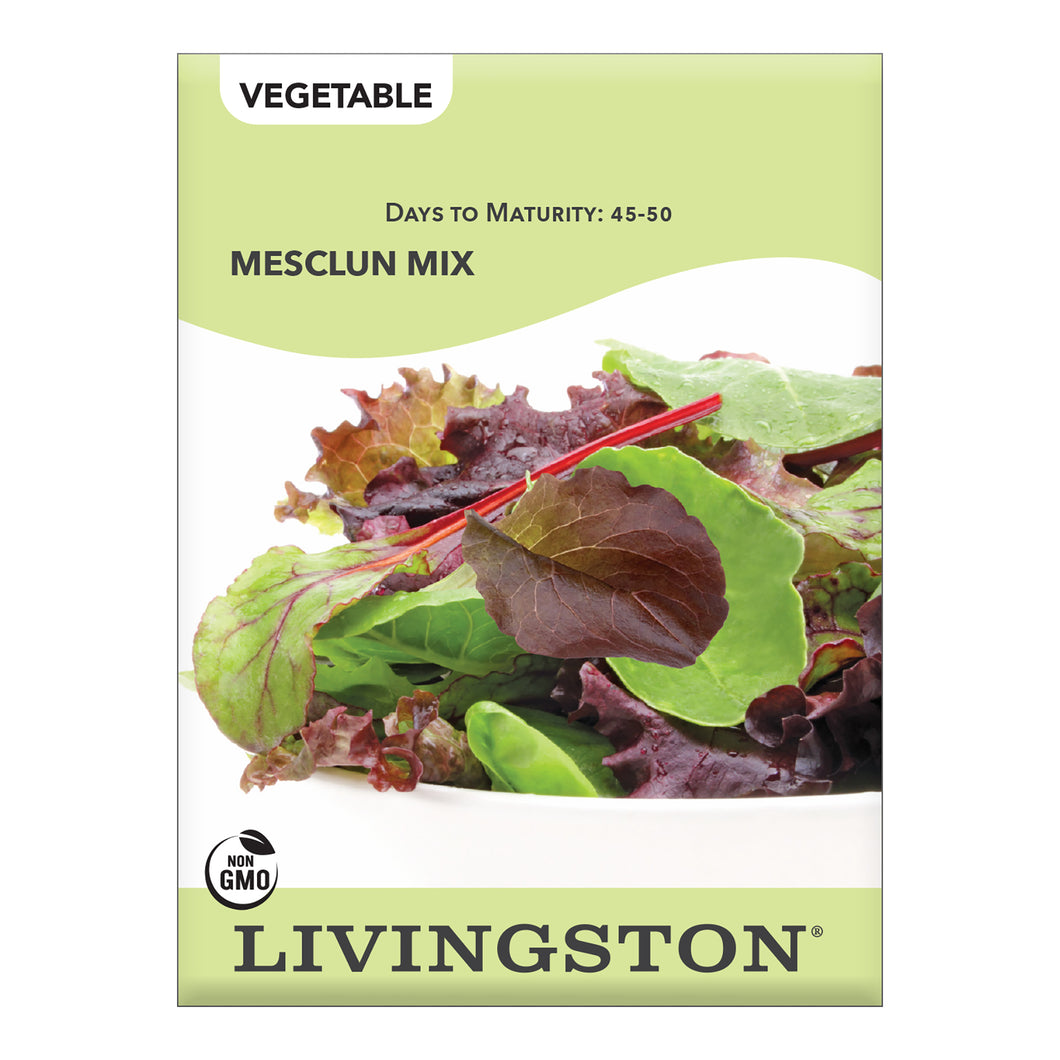 LETTUCE - MESCLUN