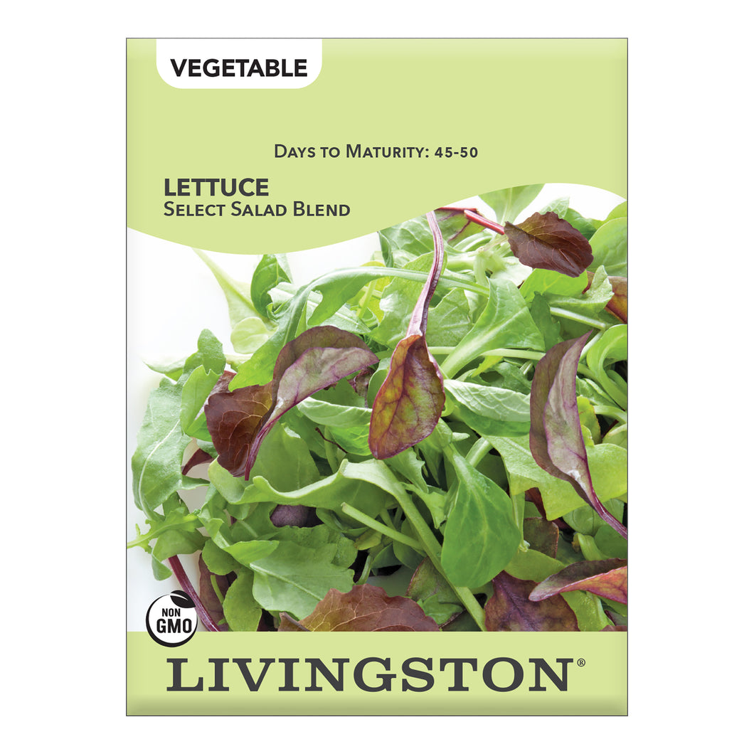 LETTUCE - SELECT SALAD BLEND