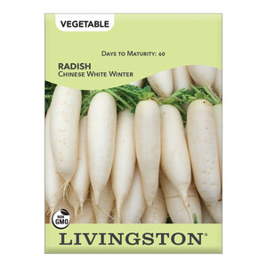 RADISH - CHINESE WHITE WINTER