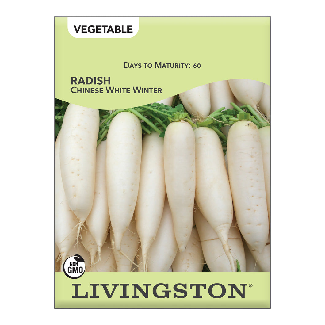 RADISH - CHINESE WHITE WINTER