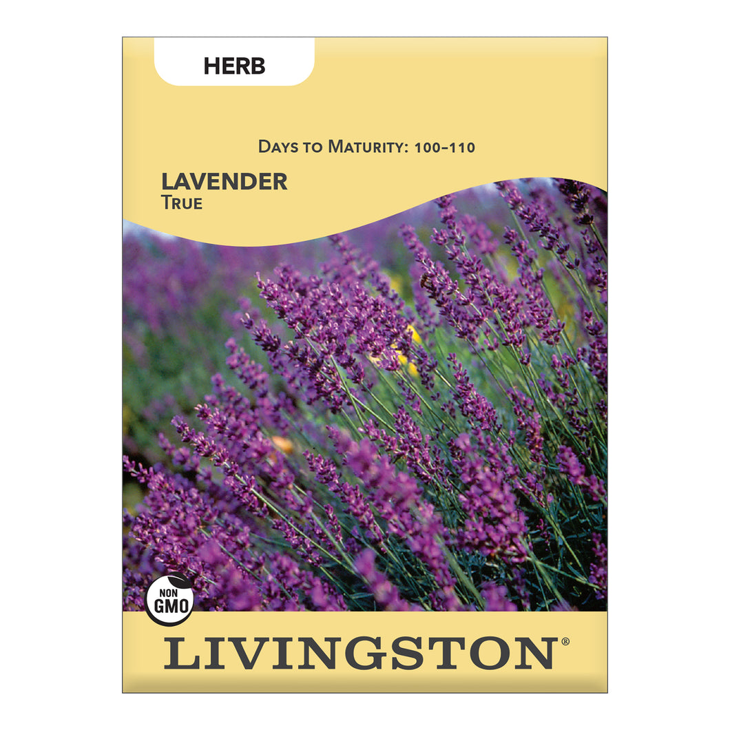 LAVENDER - TRUE