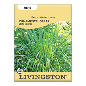 ORNAMENTAL GRASS - LEMONGRASS
