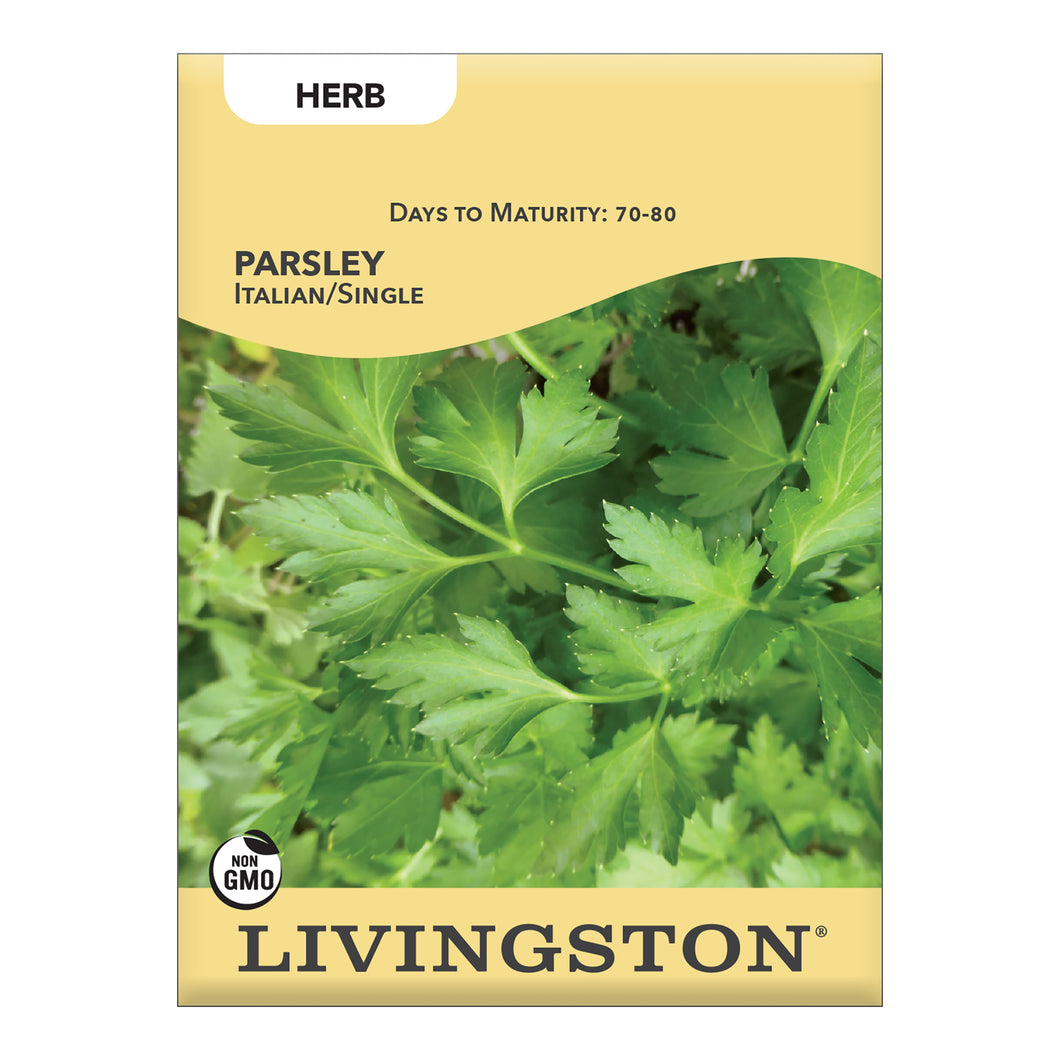 PARSLEY - ITALIAN/ SINGLE