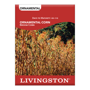 ORNAMENTAL CORN - BROOM CORN