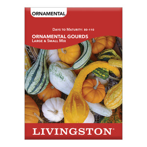 SQUASH - ORNAMENTAL GOURDS LARGE & SMALL MIX